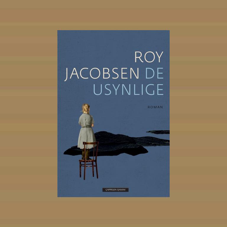 De usynlige book cover
